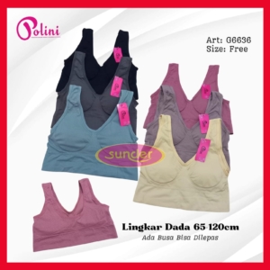 Tempat Jualan Miniset Busa Murah Jailolo, Grosir Bra Sport Murah Jailolo, Jual Bra Wanita Polini Jailolo, Grosir Celana Dalam Jumbo Jailolo, Distributor Pakaian Dalam Pria Wanita Jailolo, Grosir Cd Motif Murah Jailolo,